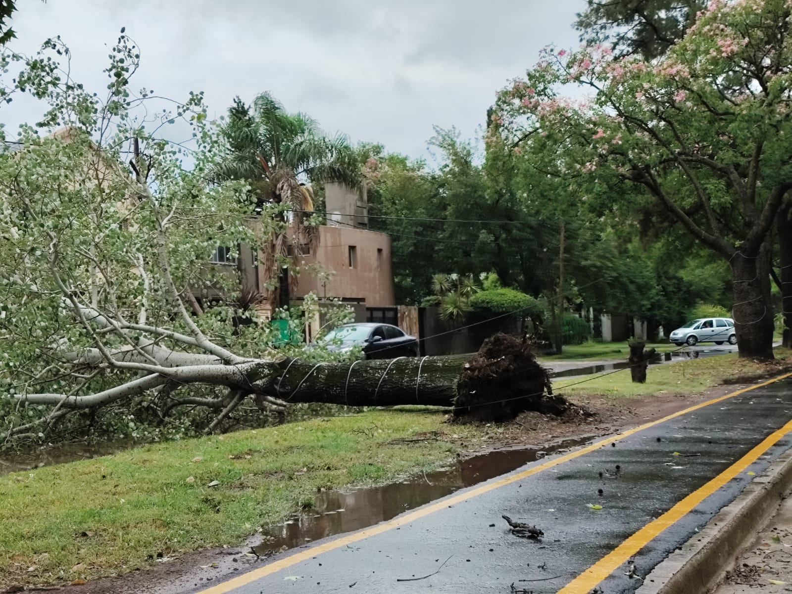 Temporal en Funes: se volaron algunos techos y Santacroce pidió "tener precaución"